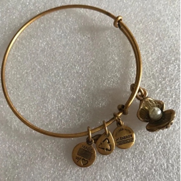 Alex and Ani Expandable Wire Bracelet - Picture 1 of 7